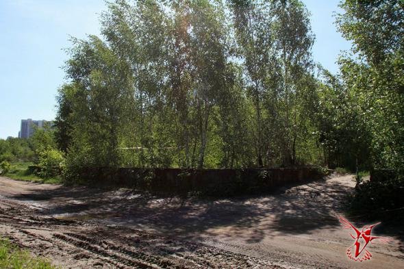 Не ходите дети в Коломенское гулять...