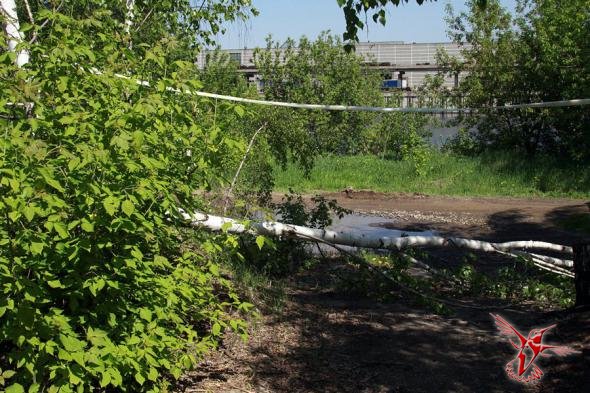 Не ходите дети в Коломенское гулять...