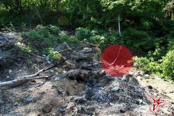 Не ходите дети в Коломенское гулять...